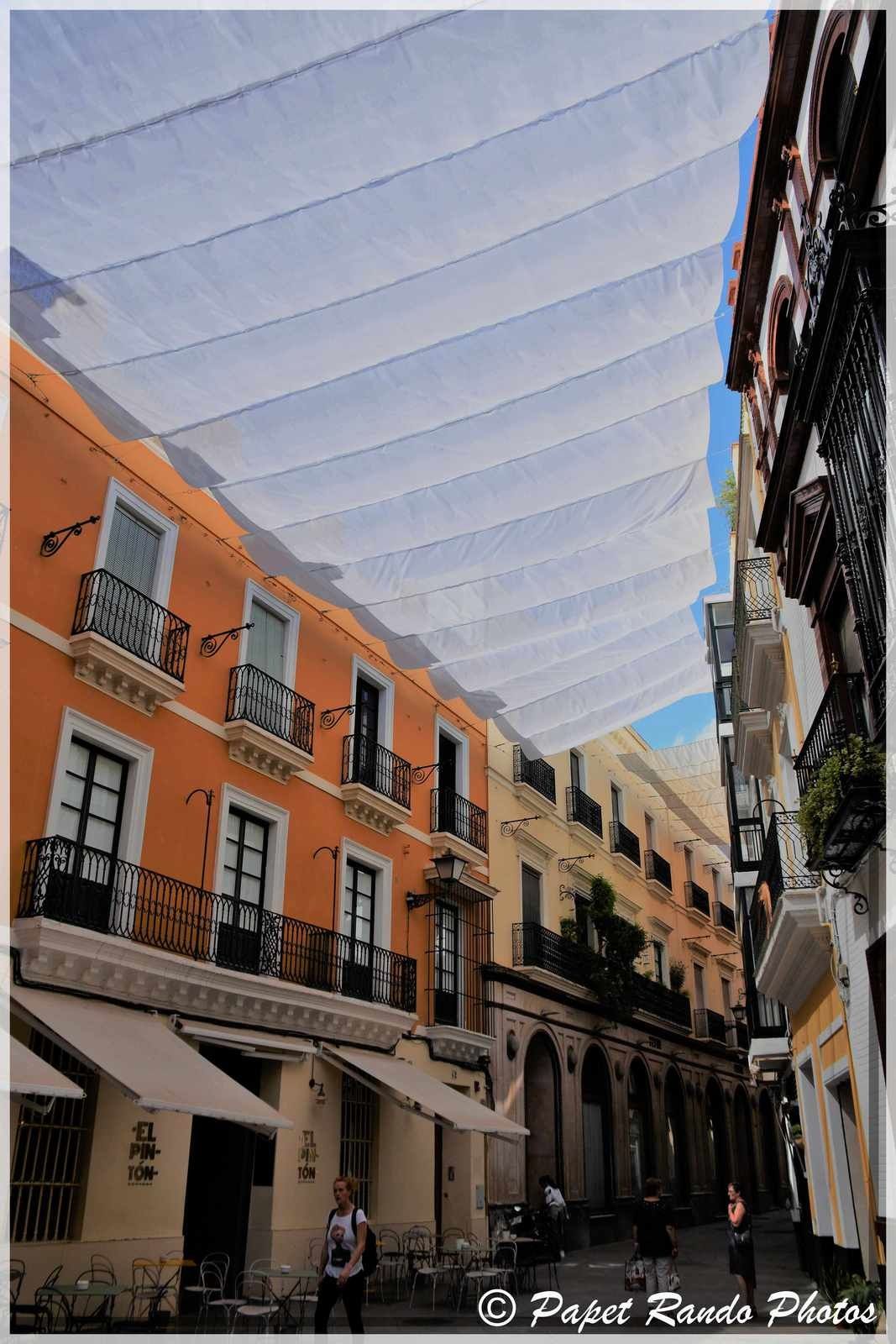 La Cathedrale de Sevilla,inaugurée en 1182 devenue gothique, aussi la plus grande, avec des parties de l'ancienne mosquée, ensuite photos dans la ville 