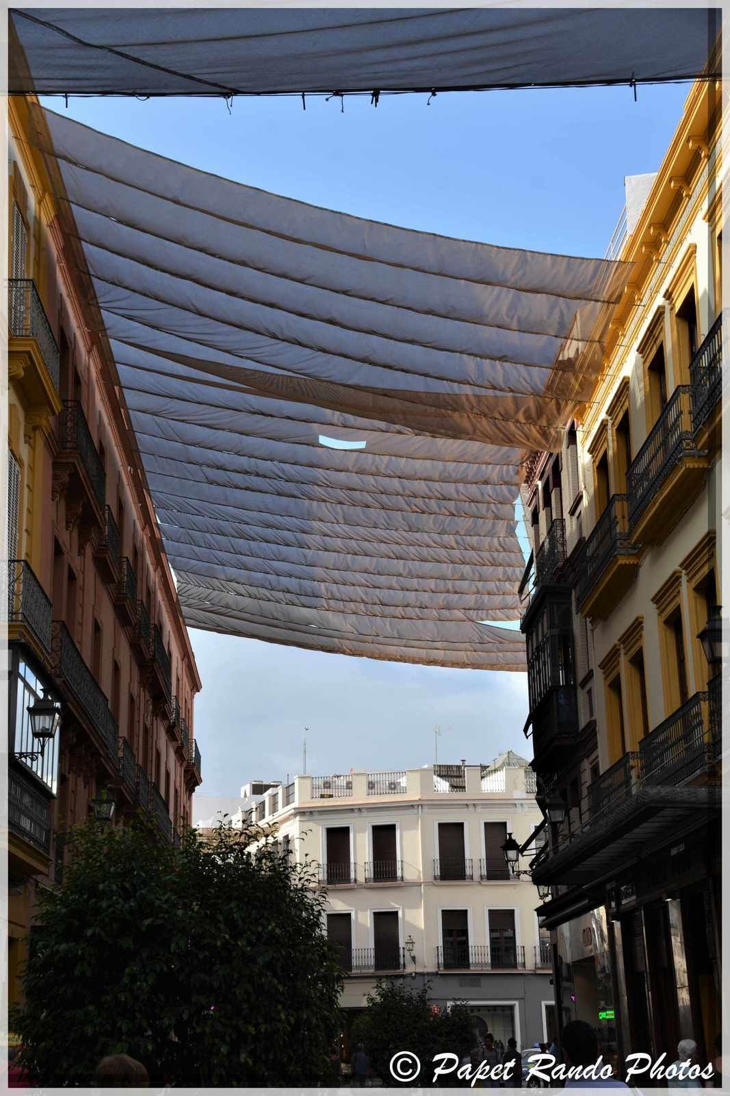 La Cathedrale de Sevilla,inaugurée en 1182 devenue gothique, aussi la plus grande, avec des parties de l'ancienne mosquée, ensuite photos dans la ville 