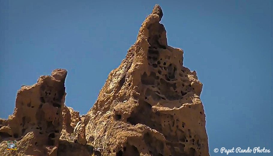 Photos Safari Jeep & a pied,sur 14 ans, Avec les Viperines Rouge une référence du Parc,( en mai, aout, octobre) aussi le cratère du Pico 3134 m , le sommet du Teide 3718 