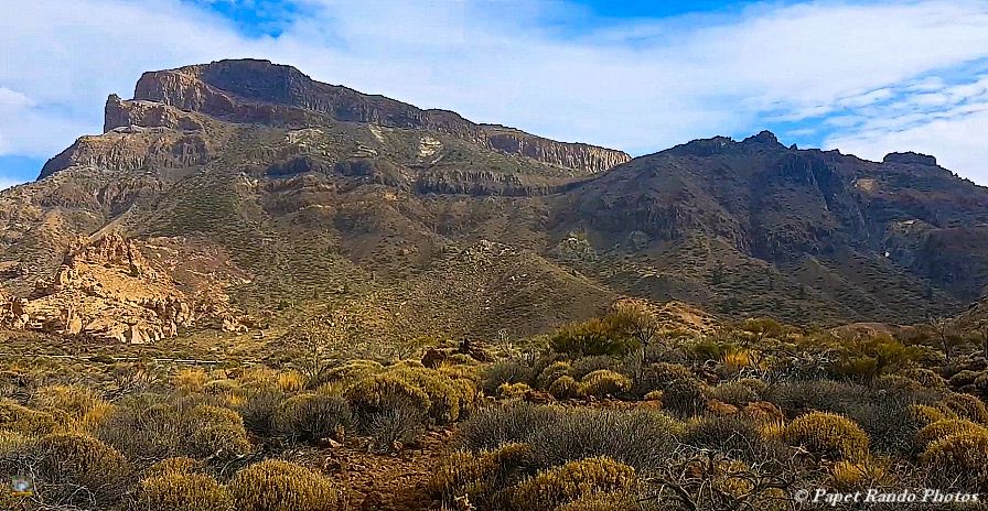 Photos Safari Jeep & a pied,sur 14 ans, Avec les Viperines Rouge une référence du Parc,( en mai, aout, octobre) aussi le cratère du Pico 3134 m , le sommet du Teide 3718 