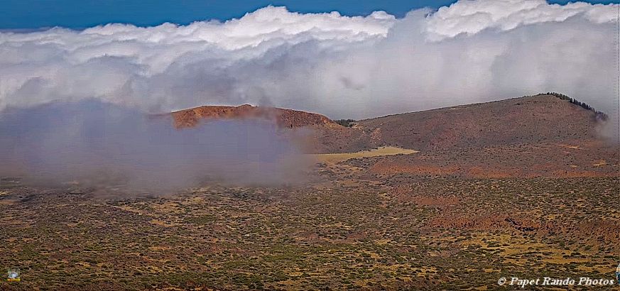 Photos Safari Jeep & a pied,sur 14 ans, Avec les Viperines Rouge une référence du Parc,( en mai, aout, octobre) aussi le cratère du Pico 3134 m , le sommet du Teide 3718 