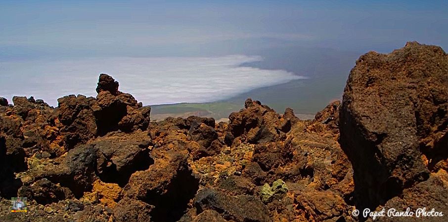 Photos Safari Jeep & a pied,sur 14 ans, Avec les Viperines Rouge une référence du Parc,( en mai, aout, octobre) aussi le cratère du Pico 3134 m , le sommet du Teide 3718 