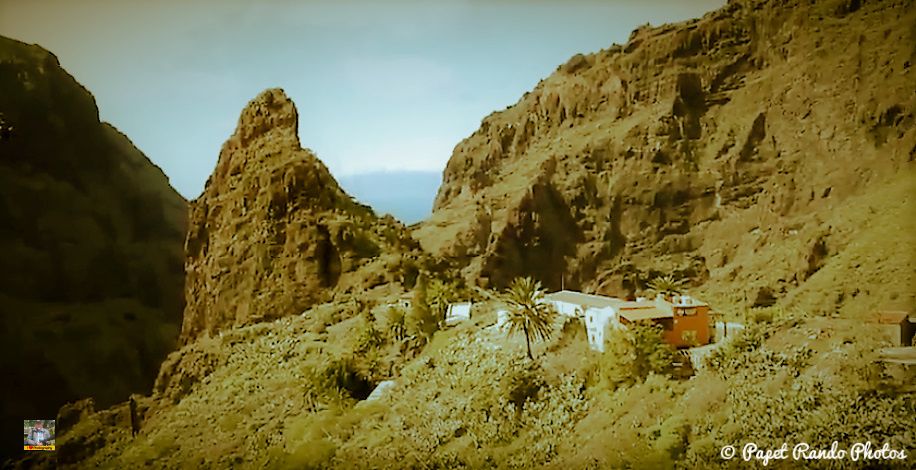 Photos Safari Jeep & a pied,sur 14 ans, Avec les Viperines Rouge une référence du Parc,( en mai, aout, octobre) aussi le cratère du Pico 3134 m , le sommet du Teide 3718 