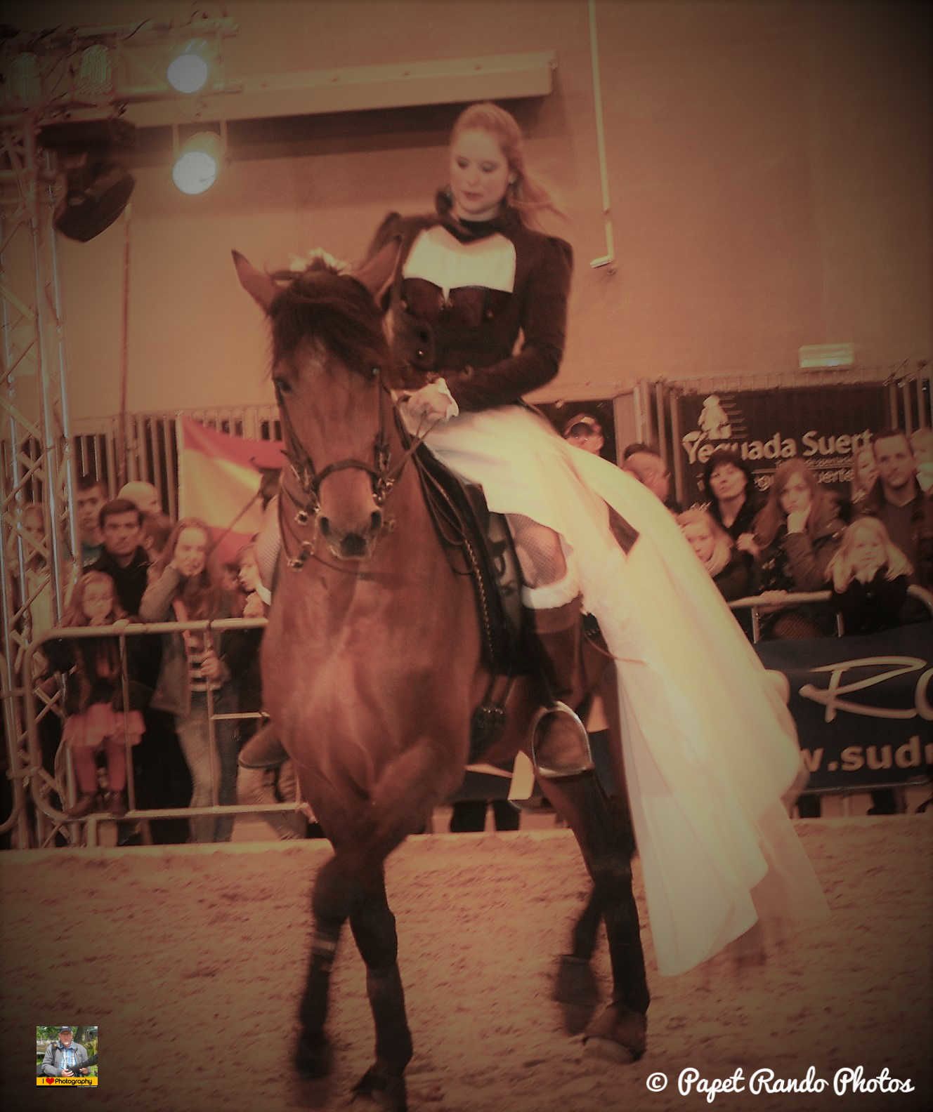 Un de mes premiers reportage photos Salon du Cheval Mons 2016