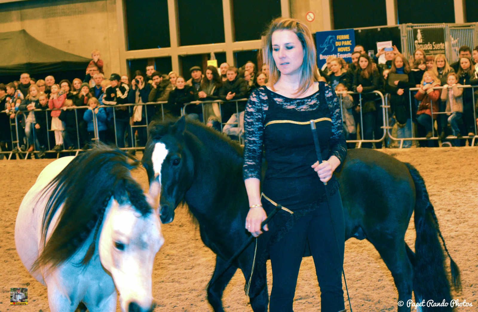 Un de mes premiers reportage photos Salon du Cheval Mons 2016