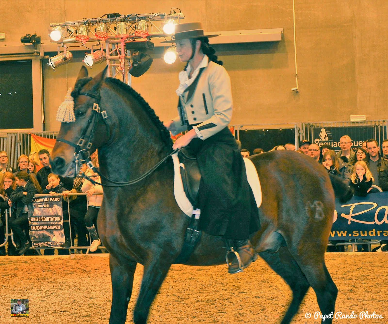 Un de mes premiers reportage photos Salon du Cheval Mons 2016