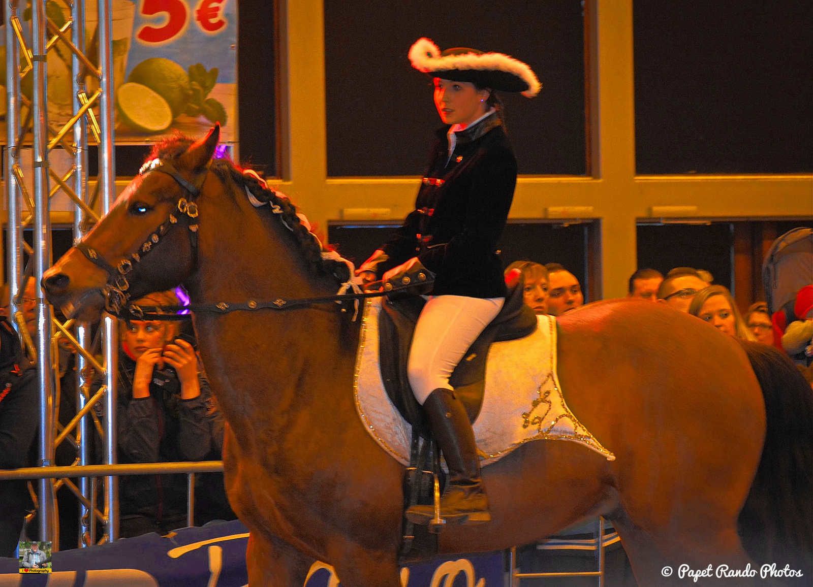 Un de mes premiers reportage photos Salon du Cheval Mons 2016