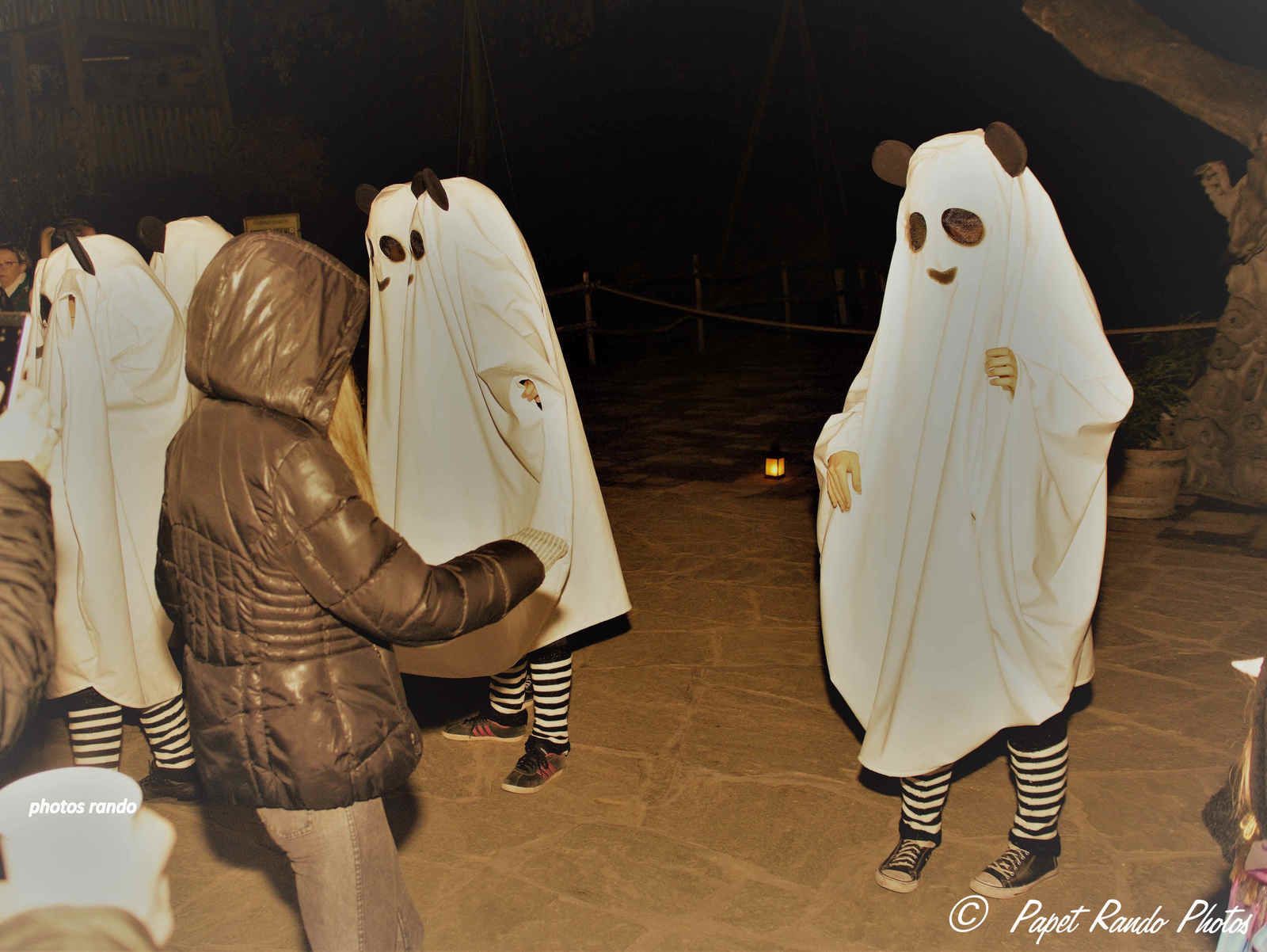 Un Grand Merci a tout les Artistes & a Pairi Daiza  pour l'accueil  VIP reçu  BRAVO  & MERCI