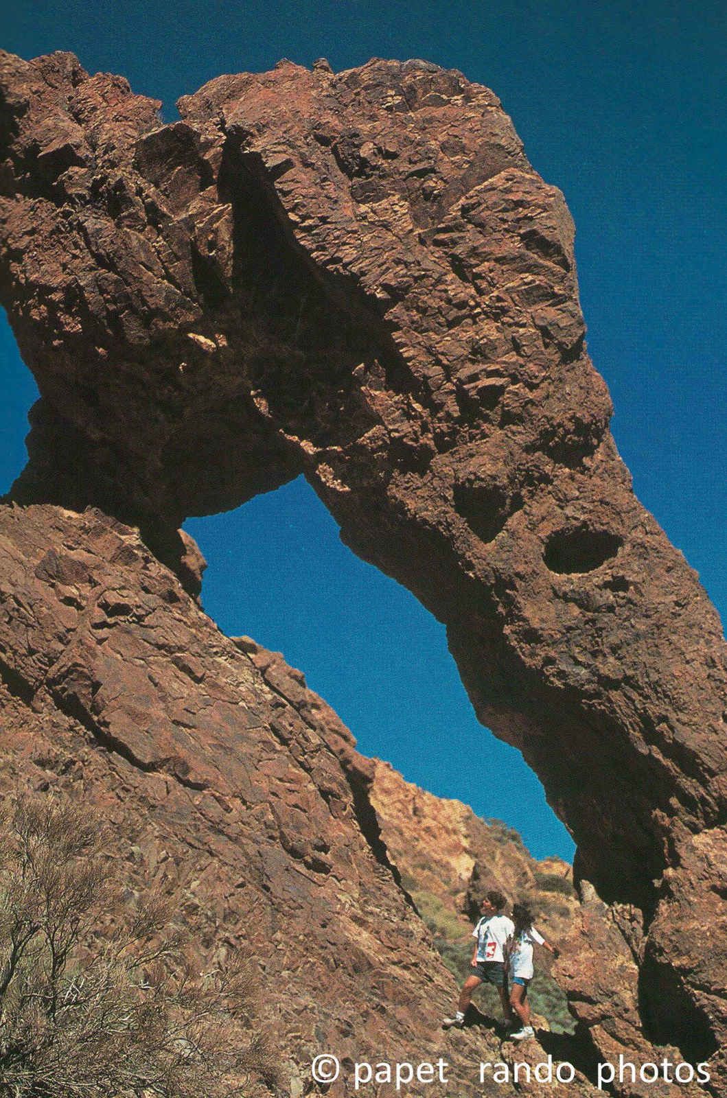 Photos Safari Jeep & a pied,sur 14 ans, Avec les Viperines Rouge une référence du Parc,( en mai, aout, octobre) aussi le cratère du Pico 3134 m , le sommet du Teide 3718 