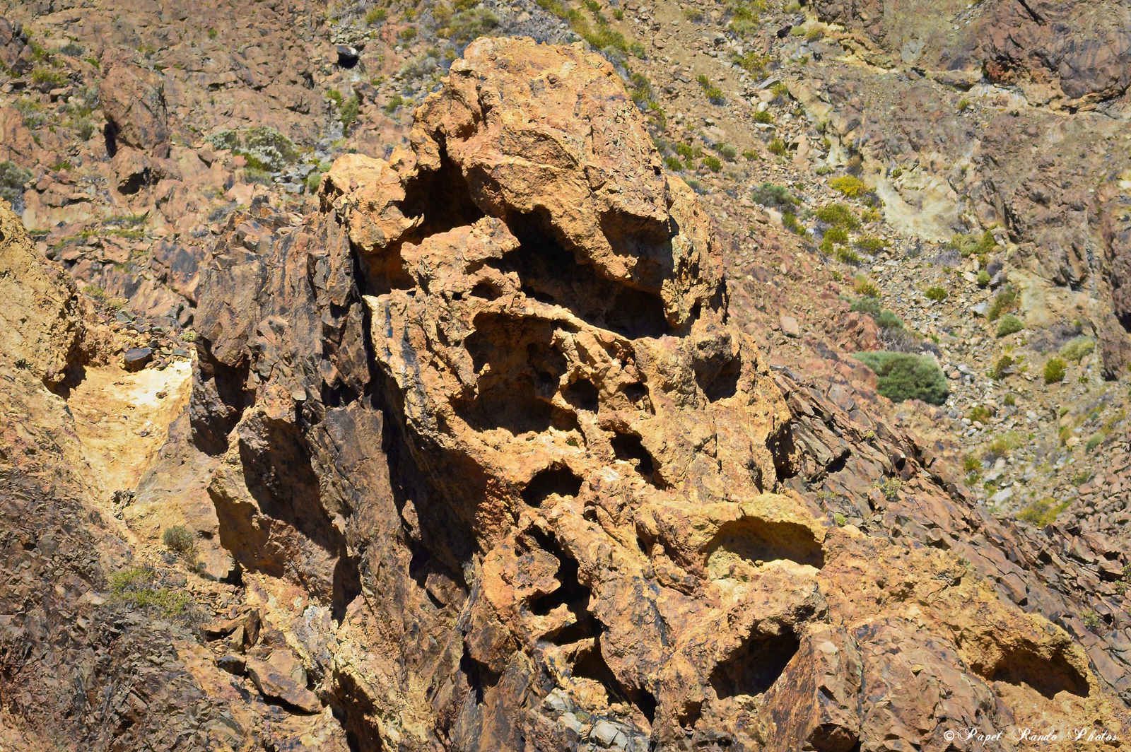 Photos Safari Jeep & a pied,sur 14 ans, Avec les Viperines Rouge une référence du Parc,( en mai, aout, octobre) aussi le cratère du Pico 3134 m , le sommet du Teide 3718 