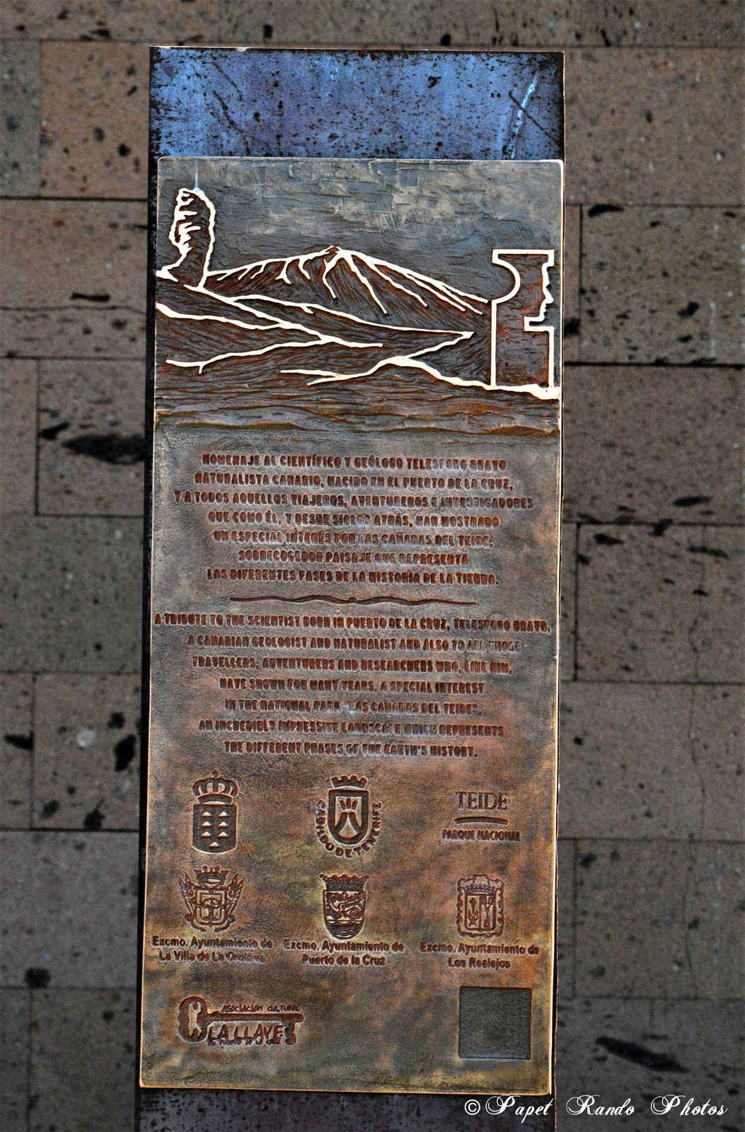 Photos Safari Jeep & a pied,sur 14 ans, Avec les Viperines Rouge une référence du Parc,( en mai, aout, octobre) aussi le cratère du Pico 3134 m , le sommet du Teide 3718 