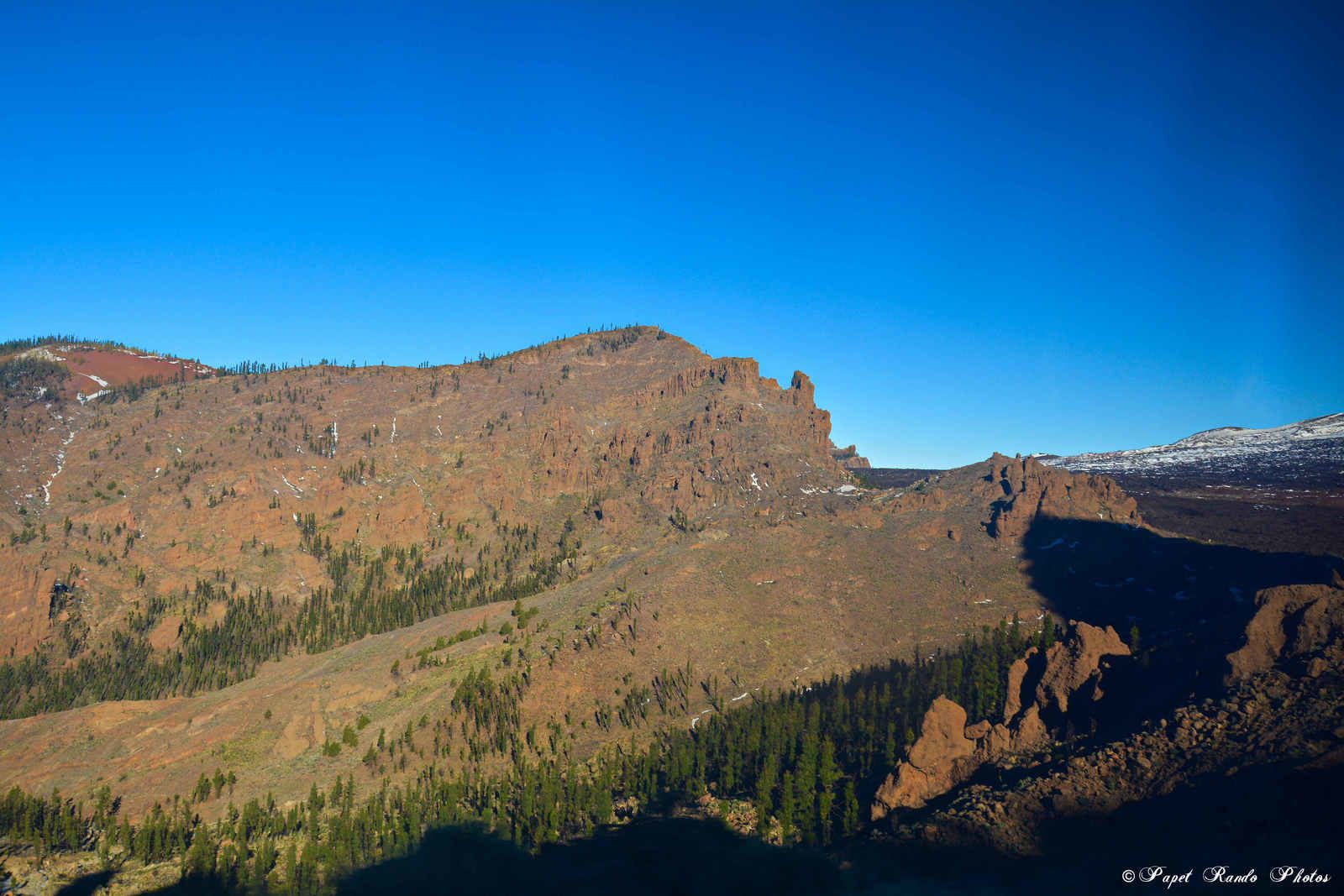 Photos Safari Jeep & a pied,sur 14 ans, Avec les Viperines Rouge une référence du Parc,( en mai, aout, octobre) aussi le cratère du Pico 3134 m , le sommet du Teide 3718 
