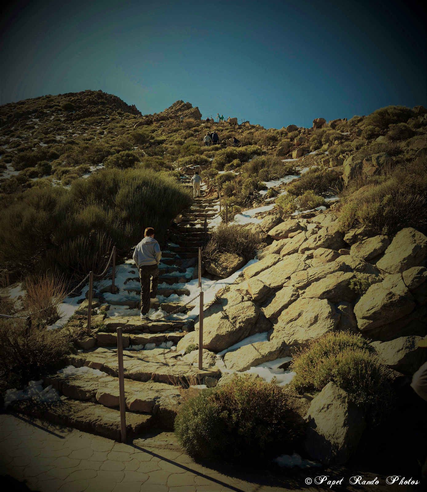 Photos Safari Jeep & a pied,sur 14 ans, Avec les Viperines Rouge une référence du Parc,( en mai, aout, octobre) aussi le cratère du Pico 3134 m , le sommet du Teide 3718 