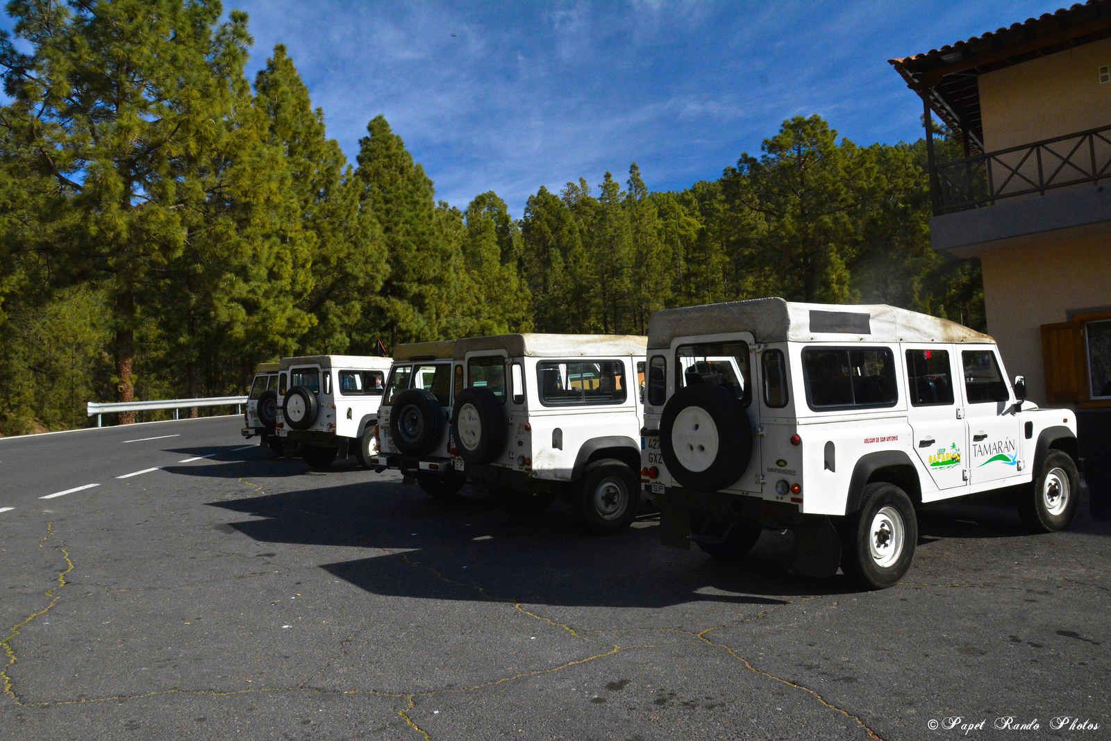 Photos Safari Jeep & a pied,sur 14 ans, Avec les Viperines Rouge une référence du Parc,( en mai, aout, octobre) aussi le cratère du Pico 3134 m , le sommet du Teide 3718 