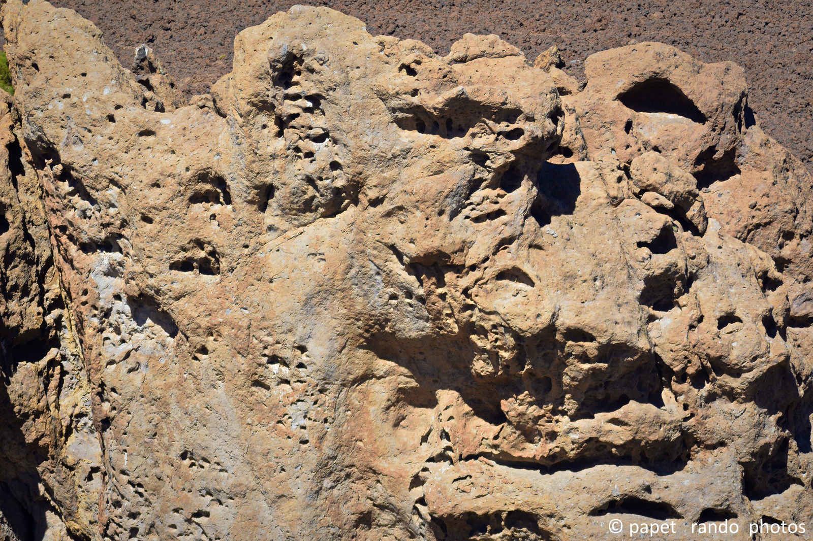 Photos Safari Jeep & a pied,sur 14 ans, Avec les Viperines Rouge une référence du Parc,( en mai, aout, octobre) aussi le cratère du Pico 3134 m , le sommet du Teide 3718 