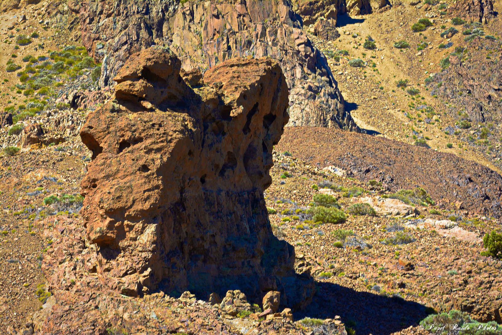 Photos Safari Jeep & a pied,sur 14 ans, Avec les Viperines Rouge une référence du Parc,( en mai, aout, octobre) aussi le cratère du Pico 3134 m , le sommet du Teide 3718 