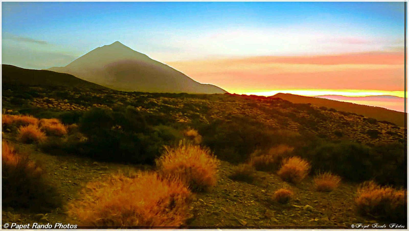 Photos Safari Jeep & a pied,sur 14 ans, Avec les Viperines Rouge une référence du Parc,( en mai, aout, octobre) aussi le cratère du Pico 3134 m , le sommet du Teide 3718 