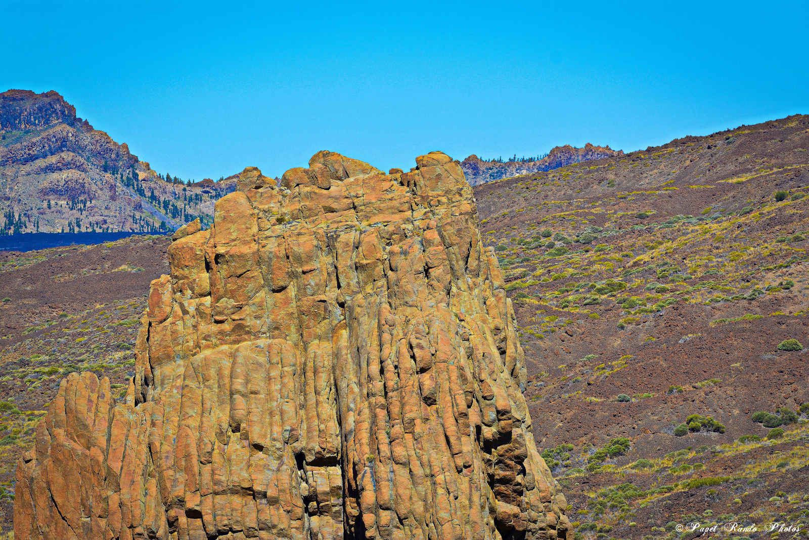Photos Safari Jeep & a pied,sur 14 ans, Avec les Viperines Rouge une référence du Parc,( en mai, aout, octobre) aussi le cratère du Pico 3134 m , le sommet du Teide 3718 