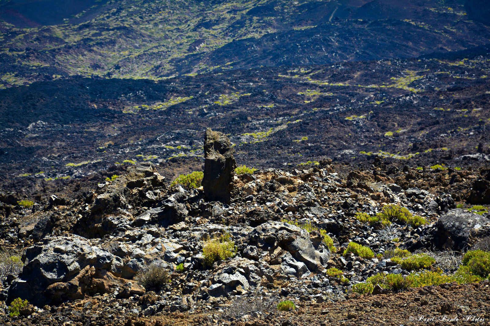 Photos Safari Jeep & a pied,sur 14 ans, Avec les Viperines Rouge une référence du Parc,( en mai, aout, octobre) aussi le cratère du Pico 3134 m , le sommet du Teide 3718 