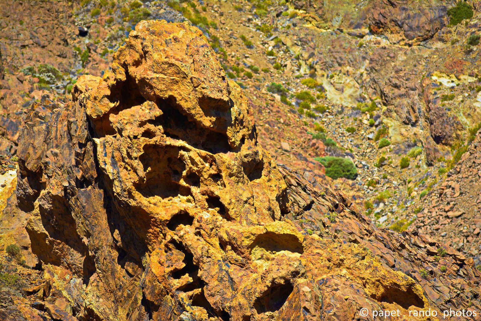 Photos Safari Jeep & a pied,sur 14 ans, Avec les Viperines Rouge une référence du Parc,( en mai, aout, octobre) aussi le cratère du Pico 3134 m , le sommet du Teide 3718 