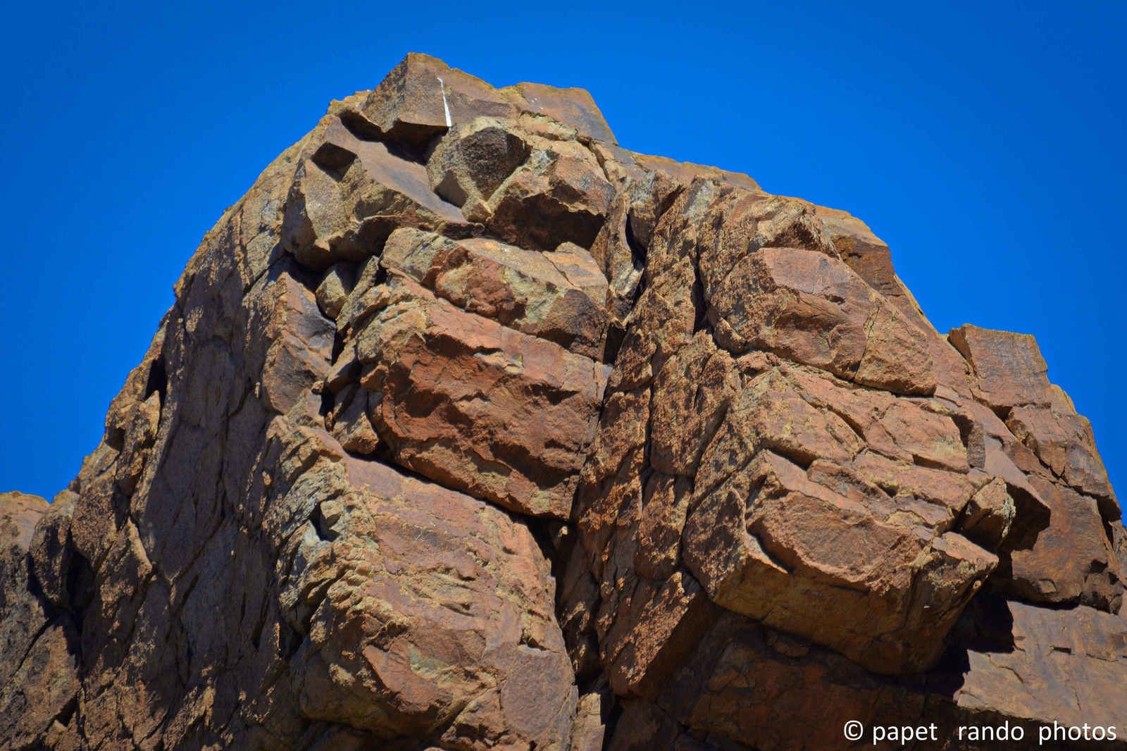 Photos Safari Jeep & a pied,sur 14 ans, Avec les Viperines Rouge une référence du Parc,( en mai, aout, octobre) aussi le cratère du Pico 3134 m , le sommet du Teide 3718 