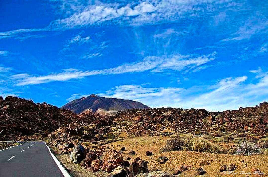 Photos Safari Jeep & a pied,sur 14 ans, Avec les Viperines Rouge une référence du Parc,( en mai, aout, octobre) aussi le cratère du Pico 3134 m , le sommet du Teide 3718 