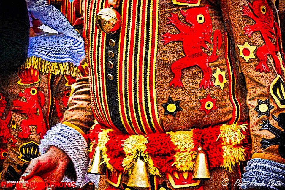 Photos sur plusieurs années de photos, les vrais Carnavals-Cavalcades de nos régions, ou le vrai Floklore toujours en avant : Gilles a Fleurus, Ecaussinnes,Charleroi,Nivelles, Binche, + les incontournables Vraies Cavalcades       