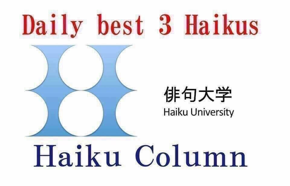 Haïku Column (groupe Facebook de l'Université du Haïku de Tokyo