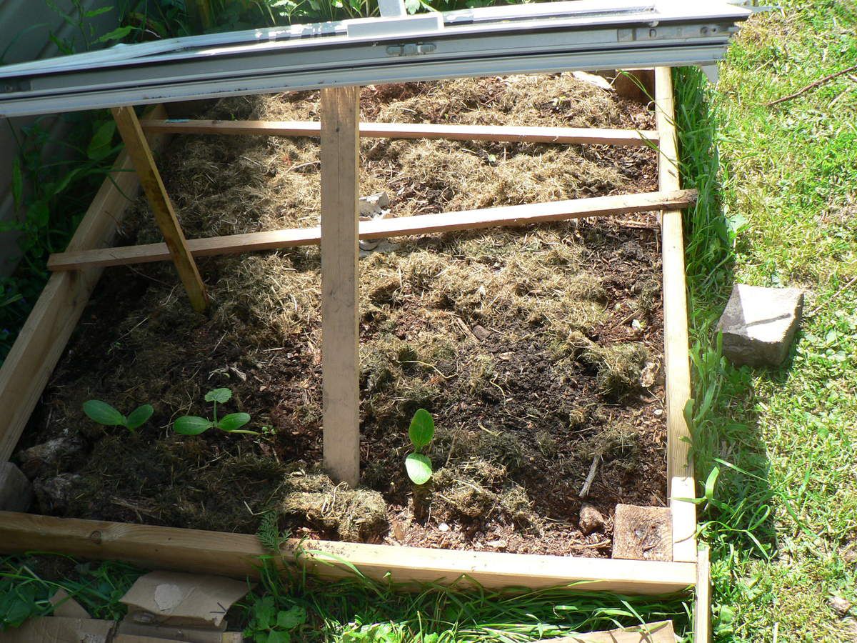 #carrépotager; #palette ; #recyclage