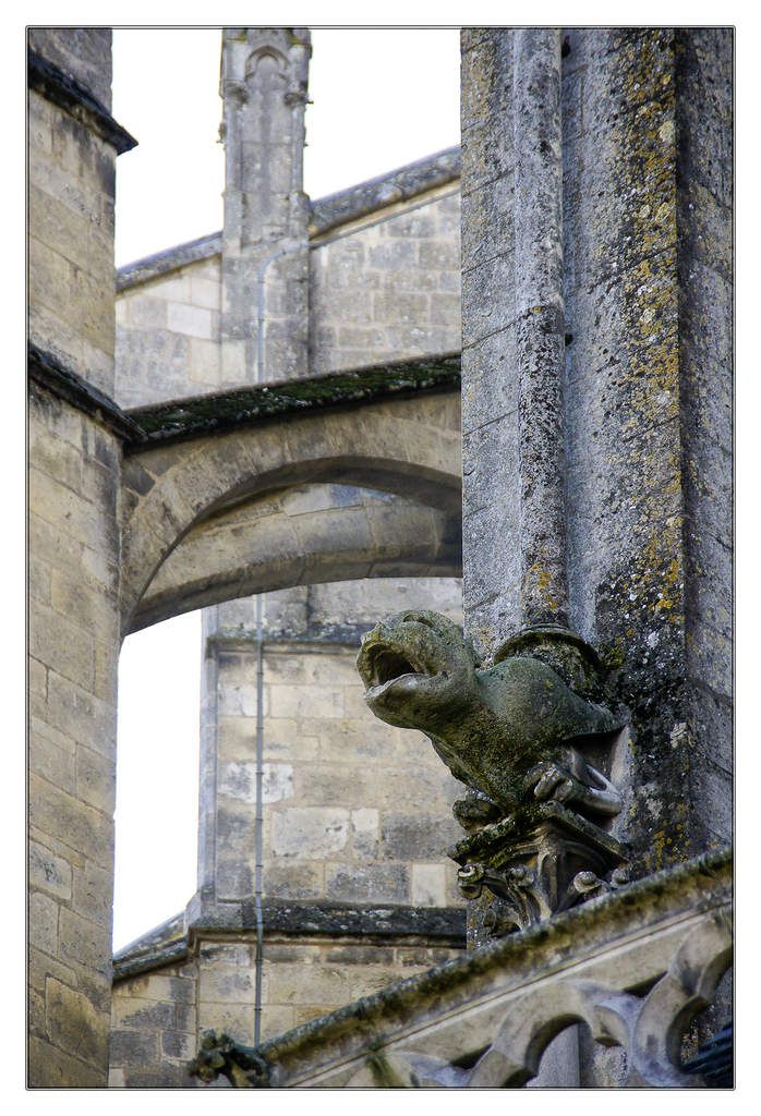 ~ Gargouilles de la cathédrale Saint-Julien du Mans, XIII et XIVème siècles. 