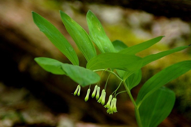 CORRESPONDANCE - Année 1763 - Partie 15