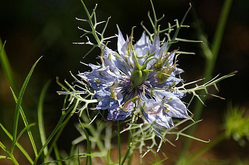 CORRESPONDANCE - Année 1769 - Partie 20