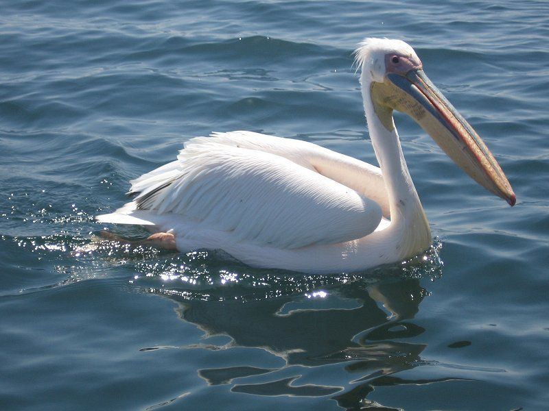 POÉSIE - Portrait de madame de Saint-Julien