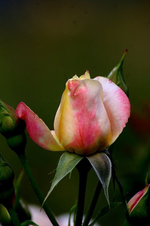 THÉÂTRE - IRÈNE - Partie 03