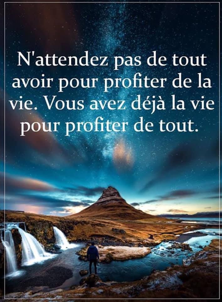 arbres qui cachent la foret en 4 lettres