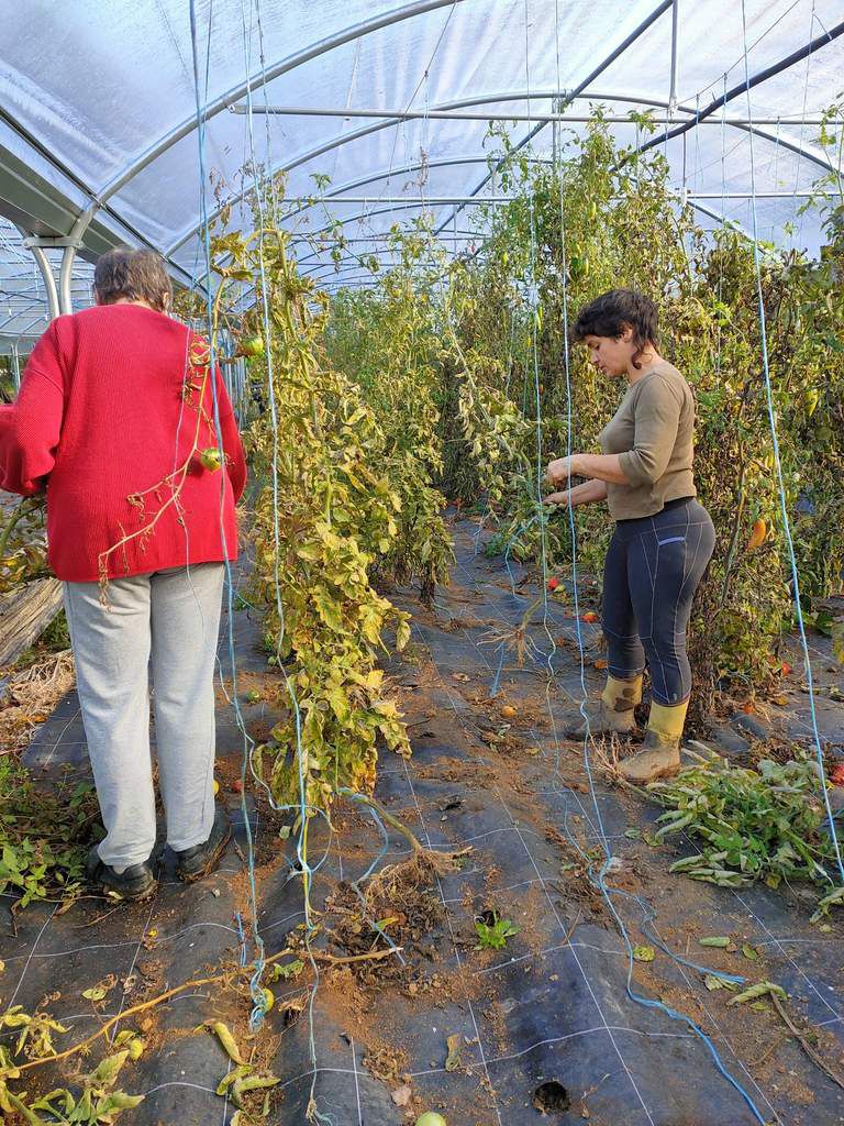 Par une belle journée d'automne