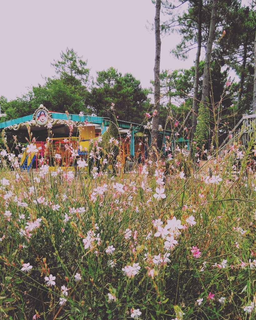 Nous sommes retournés au parc d'attractions, Kid Park, qui nous avait tant plu l'année dernière...