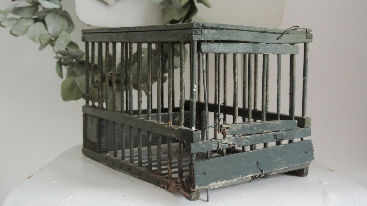 Petite cage à grive cage à oiseaux Vintage 
