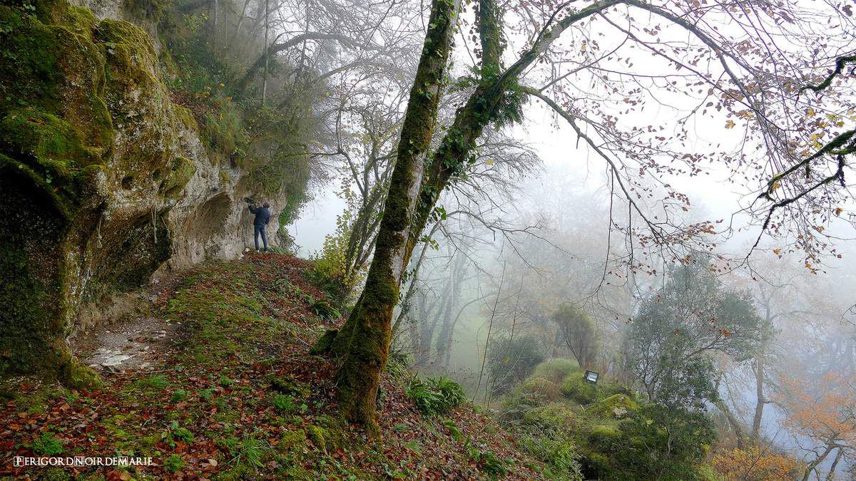 perigordnoir vezere