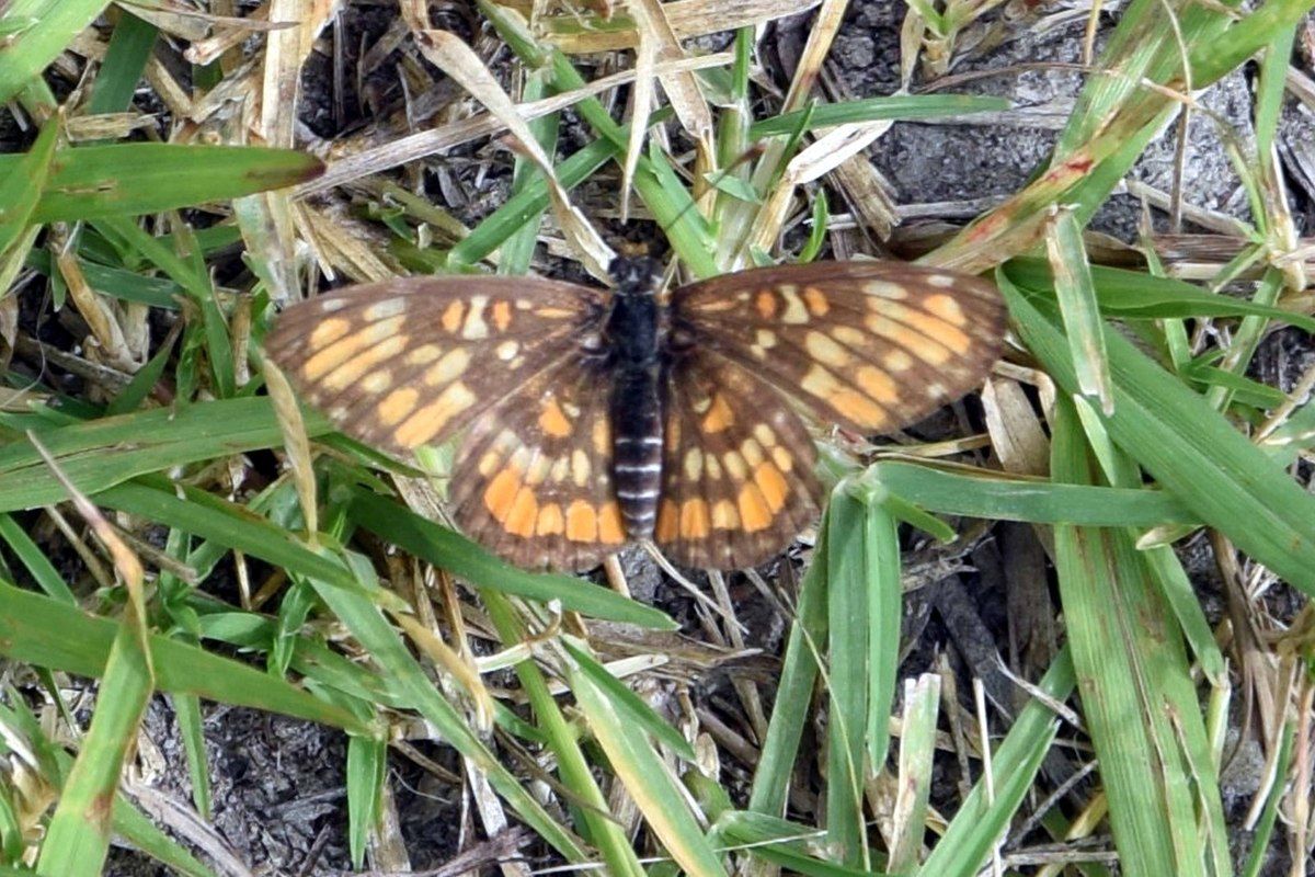 La Malinche - El Tajin - Playa Esmeralda