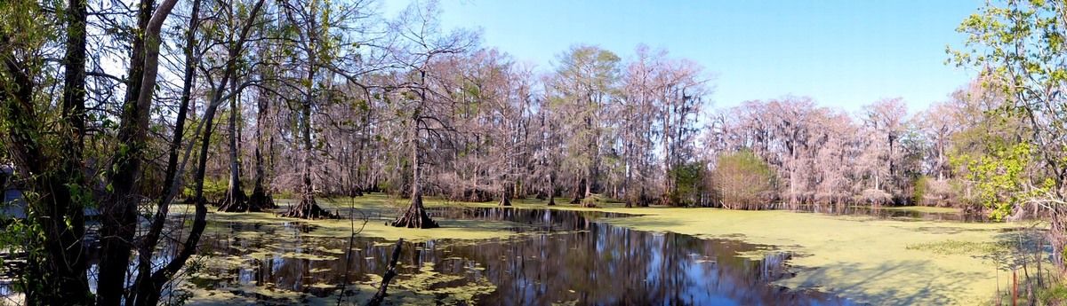 Louisiane, Cameron, Abbeville, Lac Martin, Thibodaux, Segnette State Park,