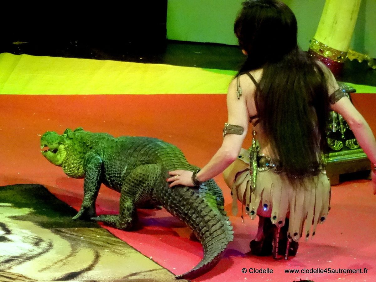  IMAGES de l'Ecole Alexis Anargul Gruss CIRQUE DE NOEL 2014 à St Jean