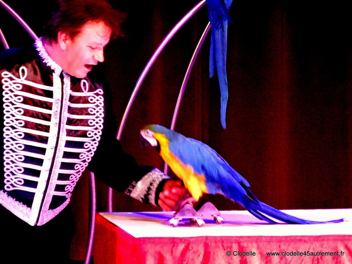  IMAGES de l'Ecole Alexis Anargul Gruss CIRQUE DE NOEL 2014 à St Jean