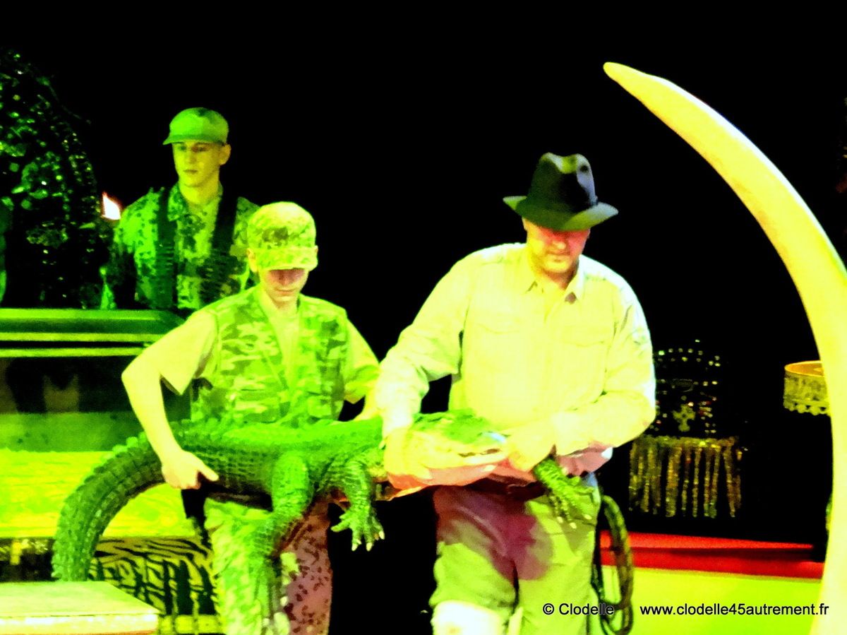  IMAGES de l'Ecole Alexis Anargul Gruss CIRQUE DE NOEL 2014 à St Jean