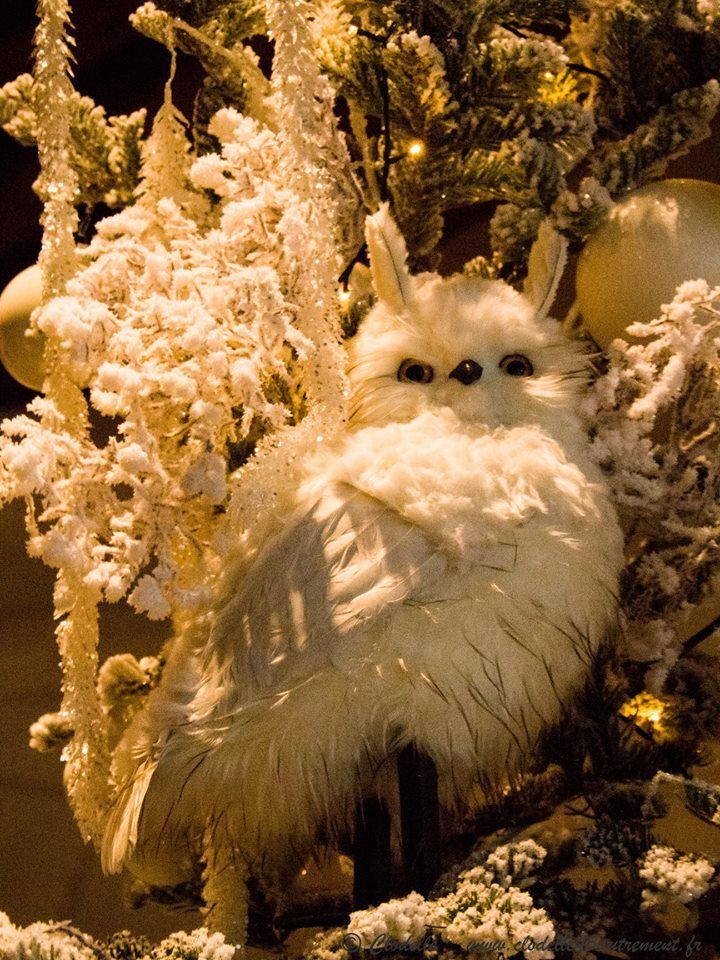 Le Château de Chambord fête Noël