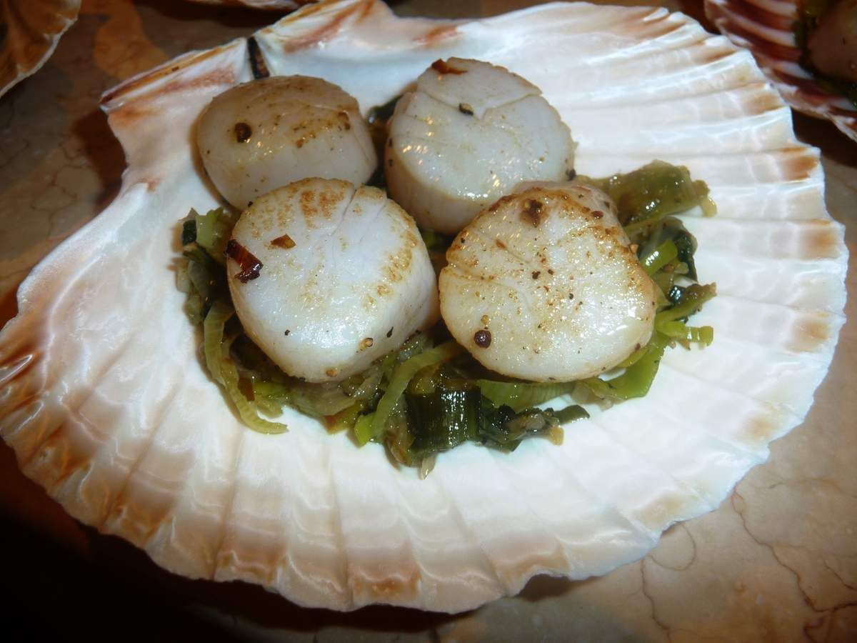 Coquilles StJacques gratinées Les recettes de Virginie