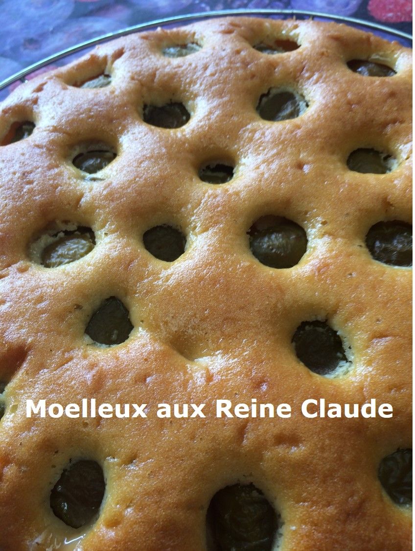 Gateau Moelleux Aux Reine Claude Mes Petites Recettes Preferees Gateau Moelleux Aux Reine Claude Mes Petites Recettes Preferees