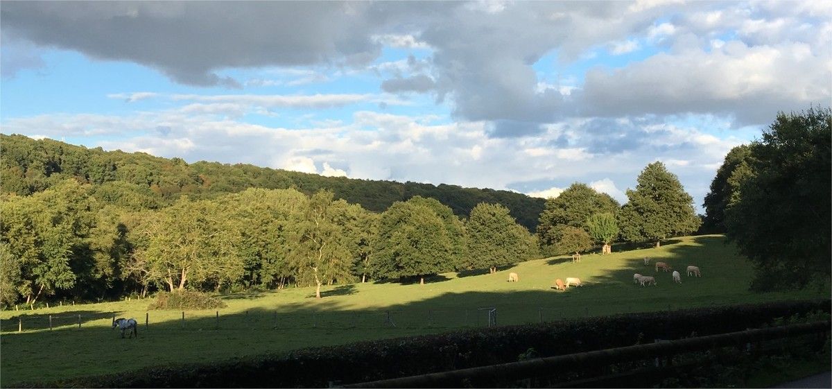 Pâturage de fond de vallée sous le ciel d'île-de-France.