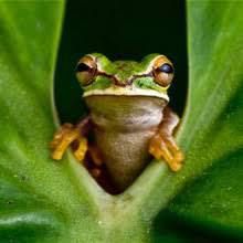 Un égout à ciel ouvert !