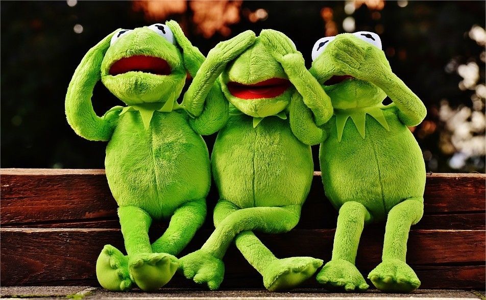 "TOUTES LES NOUVELLES" Mercredi 30 mai 2018 : La mare du Rodon polluée.